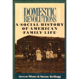 cover image Domestic Revolutions: A Social History of American Family Life