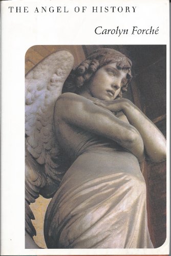 cover image The Angel of History