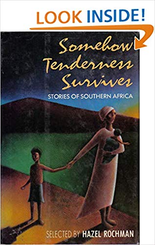 cover image Somehow Tenderness Survives: Stories of Southern Africa