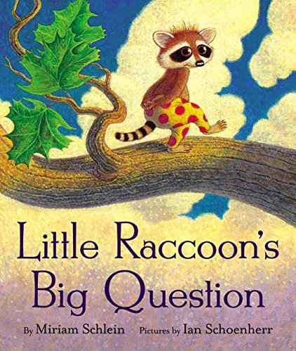 cover image LITTLE RACCOON'S BIG QUESTIONS