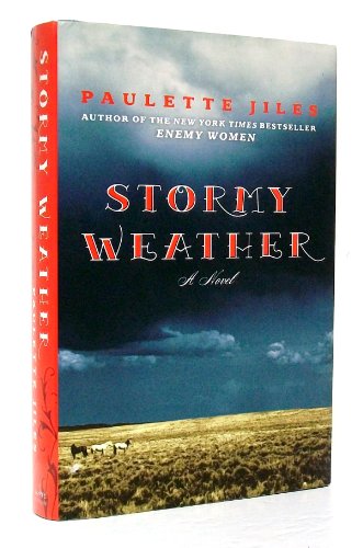 cover image Stormy Weather