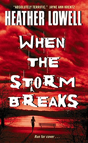 cover image WHEN THE STORM BREAKS
