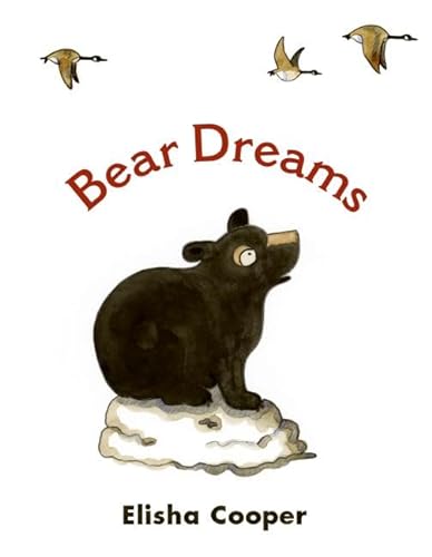 cover image Bear Dreams