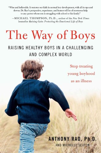 cover image The Way of Boys: Raising Healthy Boys in a Challenging and Complex World