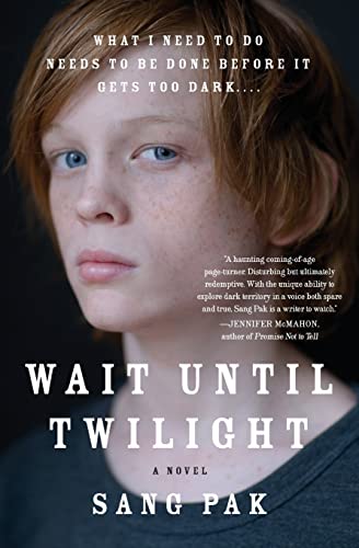 cover image Wait Until Twilight