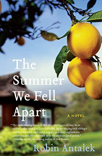 cover image The Summer We Fell Apart