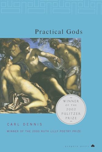 cover image PRACTICAL GODS