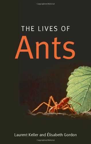 cover image The Lives of Ants