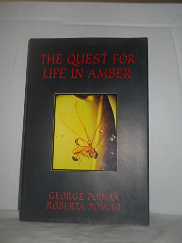 cover image The Quest for Life in Amber