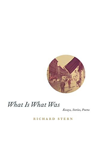 cover image WHAT IS WHAT WAS: Essays, Stories, Poems 