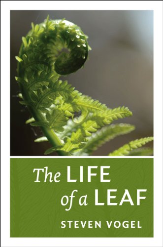 cover image The Life of a Leaf 