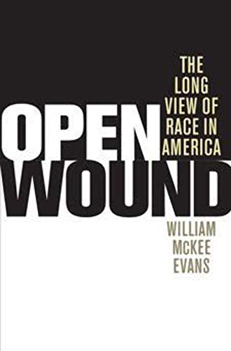 cover image Open Wound: The Long View of Race in America