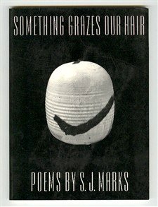 cover image Something Grazes Our Hair: Poems
