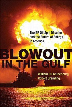 cover image Blowout in the Gulf: The BP Oil Spill Disaster and the Future of Energy in America