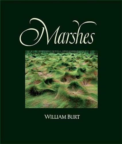 cover image Marshes: The Disappearing Edens