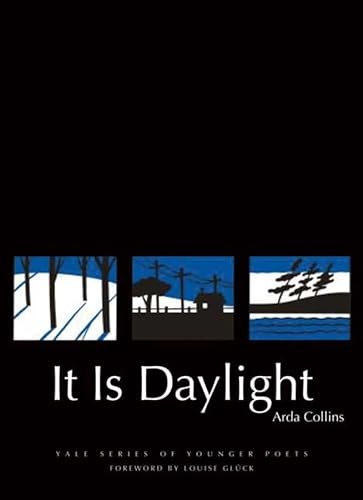 cover image It Is Daylight