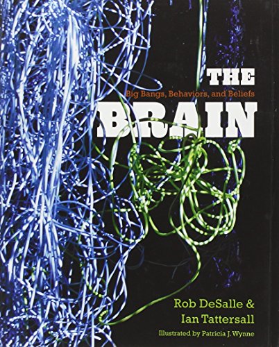 cover image The Brain: Big Bangs, Behaviors, and Beliefs