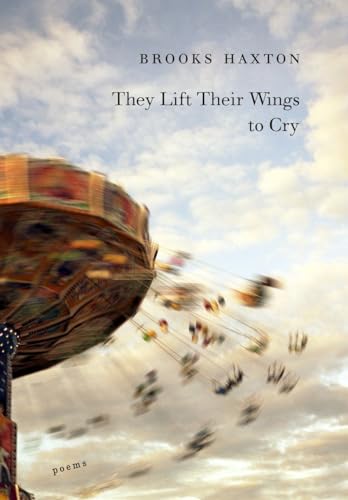 cover image They Lift Their Wings to Cry