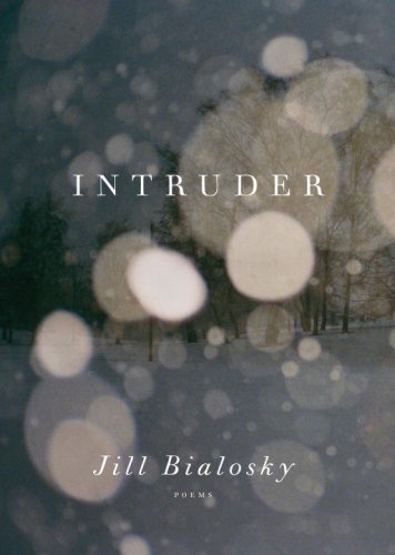 cover image Intruder