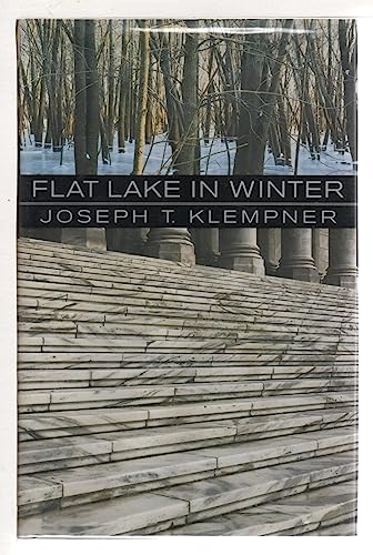 cover image Flat Lake in Winter