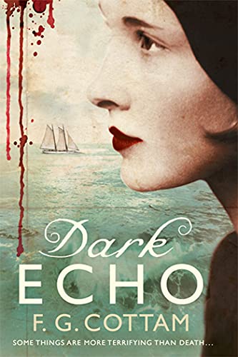 cover image Dark Echo