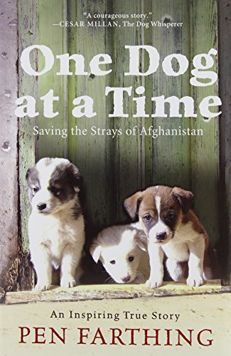 cover image One Dog at a Time: Saving the Strays of Afghanistan 