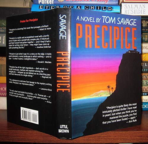 cover image Precipice