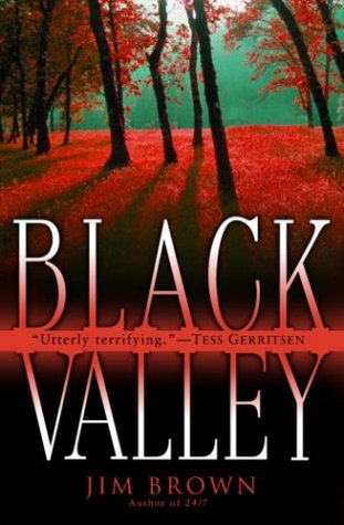 cover image BLACK VALLEY