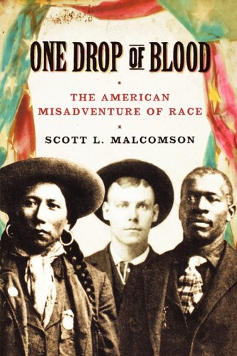cover image One Drop of Blood: The American Misadventure of Race