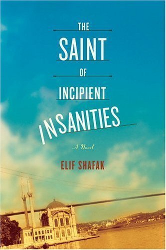 cover image THE SAINT OF INCIPIENT INSANITIES