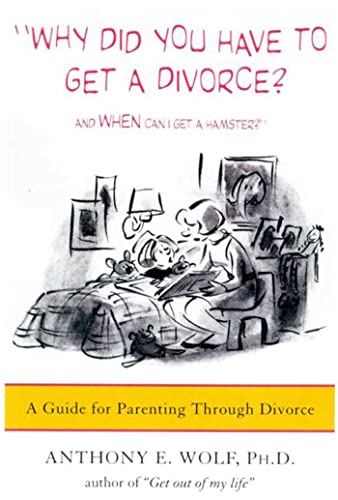 cover image Why Did You Have to Get a Divorce?