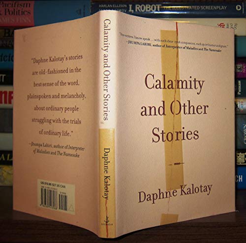 cover image CALAMITY AND OTHER STORIES