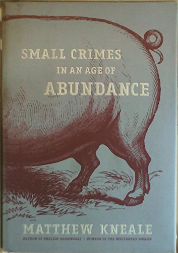 cover image SMALL CRIMES IN AN AGE OF ABUNDANCE