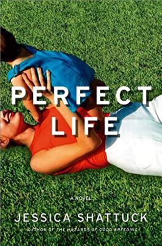cover image Perfect Life