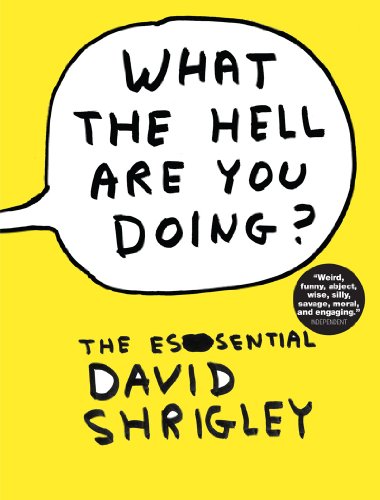 cover image What the Hell Are You Doing? The Essential David Shrigley