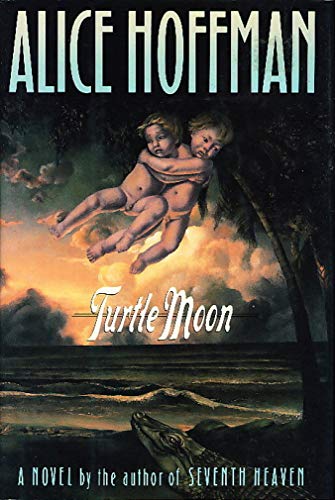 cover image Turtle Moon
