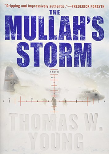 cover image The Mullah's Storm