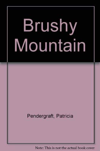 cover image Brushy Mountain