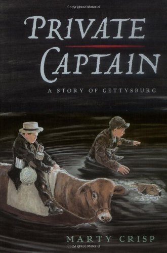 cover image PRIVATE CAPTAIN: A Story of Gettysburg
