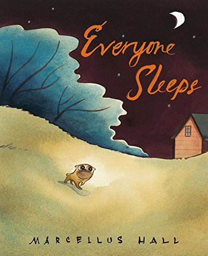cover image Everyone Sleeps