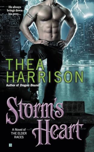 cover image Storm's Heart