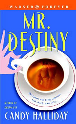 cover image Mr. Destiny