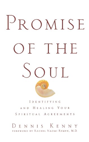 cover image PROMISE OF THE SOUL: Identifying and Healing Your Spiritual Covenant