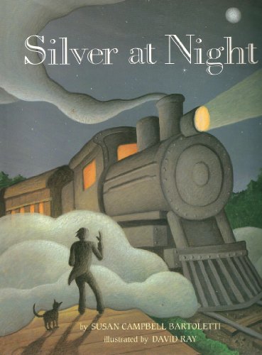 cover image Silver at Night