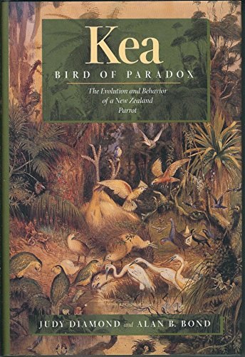 cover image Kea, Bird of Paradox: Evolution Behavior New Zealand Parrot
