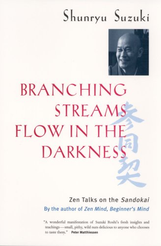 cover image Branching Streams Flow in the Darkness