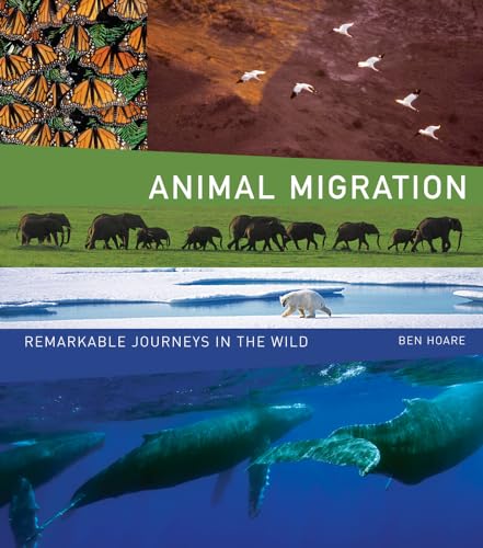 cover image Animal Migration: Remarkable Journeys in the Wild