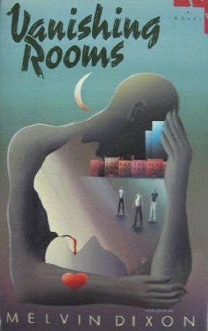 cover image Vanishing Rooms