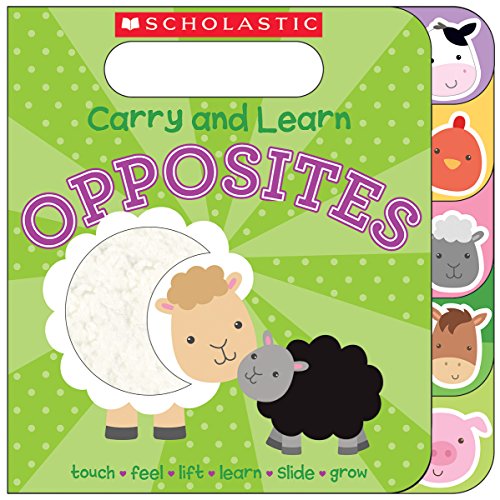 cover image Carry and Learn Opposites