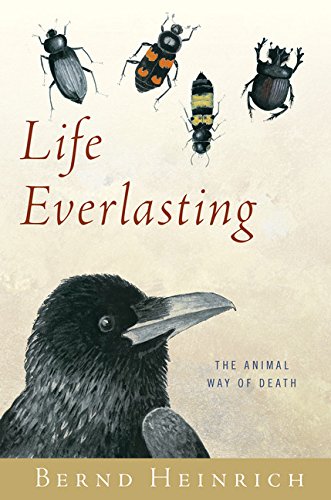 cover image Life Everlasting: The Animal Way of Death
